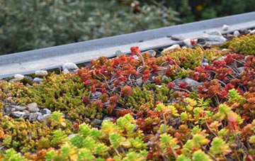 the cost of Chelsworth Common green roof installation