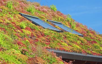 Chelsworth Common living roof systems